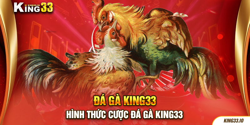 Hình thức cược đá gà King33