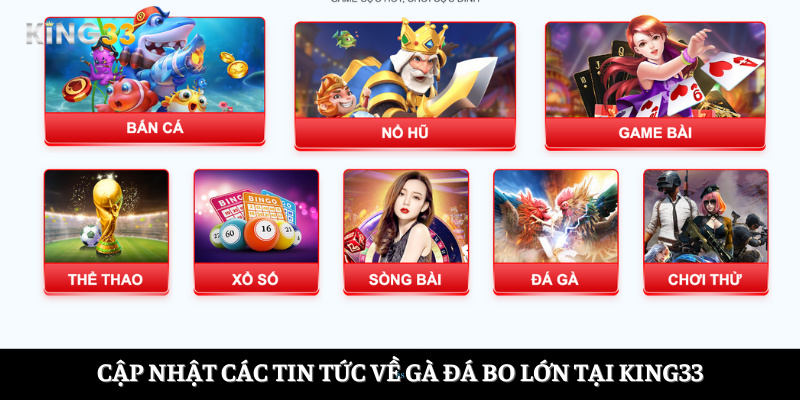 Cập nhật các tin tức về gà đá bo lớn tại King33